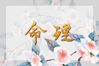 择吉老黄历皇历,老皇历查询,择吉老皇历
